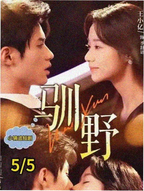 回声镇海报
